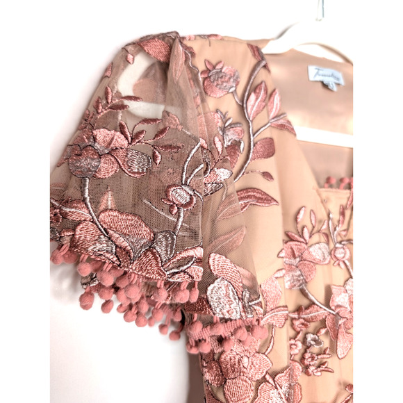 Two Sisters Pink Embroidered Floral Coquette Fairy Sheer Lace Ruffle Mini Dress - Picture 5 of 15